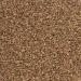 Splendor Garden Organic Celery Seed Whole - 454 g - Buy Online on GoSupps.com