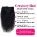 Cecycocy Kinky Curly Clip in Hair Extensions - Brazilian Remy Human Hair 3C 4A, Natural Black, 18 Inch - Buy Online on GoSupps.com