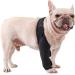 BELLIFFY Dog Injured Knee Dog Care Cat Leg Splint Leg Brace Cat Canine Carpal Hind Leg Pet XL As Shown - Buy Online on GoSupps.com