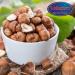  HOME LINE Valsapori - RAW KNOISEAUX - 500g envelope - Origin: Sicily | Raw and peeled Italian hazelnuts - Natural dried fruit snack not toasted without salt and added sugars - Buy Online on GoSupps.com