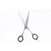 Professional Hairdressing Scissor - Hair Cutting Scissor Barber Shears for Texturizing Premium Quality Stainless Steel Comfortable Ergonomic Handle - Buy Online on GoSupps.com
