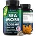Sea Moss Capsules - Irish Sea Moss Advanced with Burdock Root Bladderwrack & Muira Puama for Immunity Gut & Energy - Superfood Sea Moss Supplements w/Raw Sea Moss Powder - 120 Irish Seamoss Pills 120 Count (Pack of 1)
