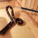 NA NA Snake Hook Retractable Snake Catcher Capture Hook Snake Rod for Outdoor Activities or Wild Adventures - Buy Online on GoSupps.com