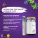 Miracle Toothpick - 100 Individually Packed Flavorful Toothpicks (Grape/Mint) for Fresh Breath & Oral Hygiene | Ideal Toothpick Donor - Buy Online on GoSupps.com