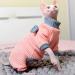 RayMinsino High Elastic Pet Clothes for Hairless Cats - XS Pink Bow Outfit for Sphinx Kittens | Shop Now - Buy Online on GoSupps.com