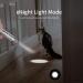 Cat Toys for Indoor Cats Kitten Pointer Toys Cat Pointer Toy for Indoor Tease Cats Pointer Toy Playing Training Chaser Interactive Pet Dogs Indoor Cats Kitten Red Light Pointer Toys Silver - Buy Online on GoSupps.com