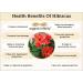Green Velly Organic Infinity Hibiscus Flower Powder For Hair Growth Hair Care Natural Hair and Face Care - 100 GM by Organic Infinity - Buy Online on GoSupps.com