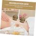 Shop Solustrie 2-Piece Cardboard Moxibustion Holder Kit | MOXIBUSTION Tools & Accessories for Optimal Wellness | International Shipping Available - Buy Online on GoSupps.com