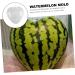 Gadpiparty Vegetables Fruit Growing Heart Mould Watermelon Grow Mold Cooking Utensils Modeling Ginseng Fruit 17x17cm Transparent - Buy Online on GoSupps.com