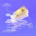 Gel Mains Glitter Fever (30ml x 3) Format Voyage Formule Douce et Hydratante Base d'Ingr dients Naturels Trio Glitter Fever - Buy Online on GoSupps.com