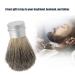 Shop Gientan Portable Shaving Brush & Beard Brush for Men | Best Bristle & Mustache Hair Brush - International Shipping - Buy Online on GoSupps.com