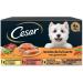 Cesar Wet Dog Food - Vegetable Garden Recipes in P t & Jelly 24-Pack (6 x 4 Cups 150g Each) - Premium International Shipping - Buy Online on GoSupps.com