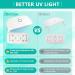 JDiction UV Resin Kit - Crystal Clear Sunlight Curing Beginner Kit for Jewelry, Doming, Coating, Casting - DIY Craft - Buy Online on GoSupps.com