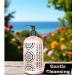 Greenwich Bay Trading Company Kitchen Collection: Pink Grapefruit 16oz (Hand Soap) - Buy Online on GoSupps.com