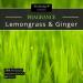Woodbridge Lemongrass Ginger Fragrance Wax Melts - 8 Aromatherapy Melts for Lamps | 10h Burn Time | Room Fragrance - Buy Online on GoSupps.com