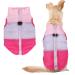 Idepet Pet Dog Cat Coat with Leash Anchor Color Patchwork Padded Puppy Teddy Chihuahua Jacket Vest Costumes Pug Clothes (M Rose Red) Medium (Pack of 1) Rose Red