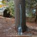 Maple Syrup Tree Tapping Starter Kit - 10 Taps & Tubing Lines - Everything You Need for Sugaring Season! (10 Pack) - Buy Online on GoSupps.com