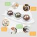 Snow Pet Magic Catnip Wall Balls - Interactive Indoor Treat Toys for Cats | Silvervine & Catnip Infused for Teeth Cleaning and Chew Fun - Buy Online on GoSupps.com