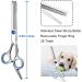 3 Pack Dog Grooming Scissors Set with Safety Round Tip - Stainless Steel Up-Curved Shears for Dogs and Cats with Grooming Comb - Blue - Buy Online on GoSupps.com