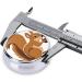 Cartoon Squirrel Round Pill Box - 3 Compartment Mini Decorative Travel Organizer for Medicine & Vitamins - Buy Online on GoSupps.com
