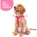 Soft Dog Diaper Trousers - 2 Pack | Pet Clothing Harness for Puppies | Black-Pink L | Comfortable & Stylish Dog Diapers - Buy Online on GoSupps.com