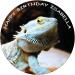 BEARDED DRAGON 7.5 PREMIUM Edible ICING Cake Topper DECORATION D1 - Buy Online on GoSupps.com