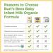 Burt's Bees Baby Organic Infant Formula with Iron - 0-12 Months, 34 oz - Buy Online on GoSupps.com