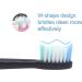 SARMOCARE Electric Toothbrush Replacement Heads 2 Pack - 5 Modes (Black) - Buy Online on GoSupps.com