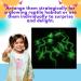 Playlearn Set of 12 Glow In The Dark Toys UV Reptiles- Glow In The Dark Reptiles Toy for Sensory Play Charge in the Light-Plastic Small Realistic Reptiles Figure Glow In Dark Party Supplies - Buy Online on GoSupps.com