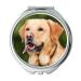 Mirror Compact Mirror Dog Labrador Light Brown Pet Animal In The Free Pocket Mirror portable mirror