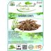 HADJOD Bone & Joint | CISSUS QUADRANGULARIS in DRY-100GMS - Buy Online on GoSupps.com