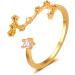 Buy Adjustable 12 Constellation Soda Sign Horoscope Ring | Perfect Birthday Gift for Women & Teen Girls (One Size 16K) - Buy Online on GoSupps.com