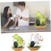 TOPBATHY 3pcs Rn Gift Phalaenopsis Home Accents Decor The Gift Home Forniture Decor Artificial Flower Bonsai Decor for Home Office Decor Garden Simulated Plant Double Fork Fake Orchid Greenx3pcs 27*17.5cmx3pcs - Buy Online on GoSupps.com