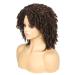 Hanne Fashion Short Kinky Curly Ombre Brown Wig | Side Part Afro Curly Synthetic Wig for Black Women | Heat Resistant Fiber | 1B/30 - Buy Online on GoSupps.com