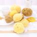 Premium Greek Honeycomb Natural Sea Sponge for Body Shower - Yellow 3.5 Inch Plus - Buy Online on GoSupps.com