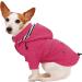 Shop Pethiy Premium Dog Raincoats | Waterproof Jackets with Zipper & Reflective Buttons - Perfect for All Weather - Buy Online on GoSupps.com