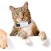 Buy Winnes Dog GPS Tracker TK911 - Waterproof Real-Time Tracking & Geofencing for Small Pets - No Subscription Required - Buy Online on GoSupps.com