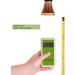 MAINENG UVA UVB 8525 LED Bulb for Reptiles & Amphibians - UV Light Lamp - Buy Online on GoSupps.com