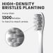 Oclean Brush Heads - Professional Clean 2 Pack (White) | High-Quality Replacement Heads for Optimal Oral Care - Buy Online on GoSupps.com