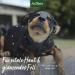 Aniforte Aloe Vera Puppy Shampoo 200ml - Mild Perfume-Free Dog Shampoo for Sensitive Young Dogs & Shiny Easy-to-Combing Fur - International Shipping Available - Buy Online on GoSupps.com