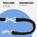 Buy Adjustable Bicycle Dog Leash - Safe Cycling Leash for Dogs Recordable Practice Line & Bike Bracket - Buy Online on GoSupps.com