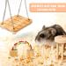 Sofier Natural Wooden Hamster Chew Toys Set - Ideal for Syrian Hamster, Rats, Guinea Pigs, and More! - Buy Online on GoSupps.com