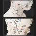 30 cm acupoint Head Model in The Medical Body Teaching Diagram Acupuncture Multi-Functional Head Model Exquisite Display Room Gift Room White - Buy Online on GoSupps.com