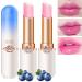 BINGBRUSH 2 Pcs Blueberry Color Changing Lipstick Queen PH Mood Long Lasting Labiales Lip Gloss Lip Balm Tinted Magic Lip Stain Glossly Makeup Moisturize Lipstick Set for Women 2 Count (Pack of 1) 2 Pcs Blueberry Color C...