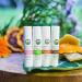 Cocoa Lip Balm | Nourishing Hydrating & International Shipping Available - Buy Online on GoSupps.com