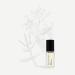 Maison Louis Marie - No.03 L'Etang Noir Roll-On Perfume Oil Sample | Luxury Clean Beauty + Non-Toxic Fragrance (0.1 fl oz | 3 ml) - Buy Online on GoSupps.com