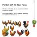 Chicken Toys for Hens Chicken Veggies Skewer Fruit Food Holder 3 Pcs Pet Chicken Vegetable Hanging Feeder Toy Stainless Steel Foraging Toy for Hens Large Birds Treat Skewer - Buy Online on GoSupps.com