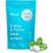 Neuro Energy & Focus Bundle - Peppermint Nootropic Gum (90ct) + Mints (90ct) Natural Caffeine L-Theanine B12 + B6 Sugar-Free Brain Support for Clarity & Energy - Buy Online on GoSupps.com