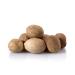 6 oz Spiced Whole Nutmeg Seeds - Perfect for Cooking, Seasoning, Grating, and Grinding in Coffee, Tea, and Hot Drinks - Buy Online on GoSupps.com