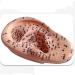 Ernzi Ear Acupuncture Model - 1 Pair 17cm with HD Lettering for Acupoint Studies & Meridian Massage - Buy Online on GoSupps.com